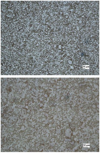 그림 65. Oxidative sintering HfO2 소결체의 광학현미경 사진