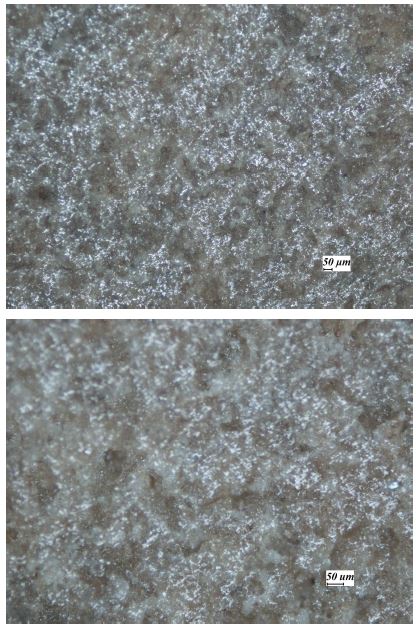 그림 66. Oxidative sintering HfO2/xGnP 소결체의 광학현미경 사진