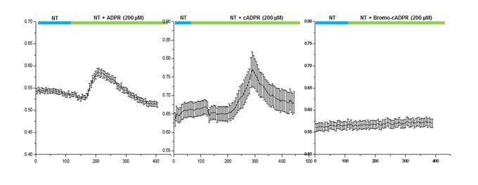 세포별 TRP channel agonist에 의한 칼슘 증가 패턴 분석