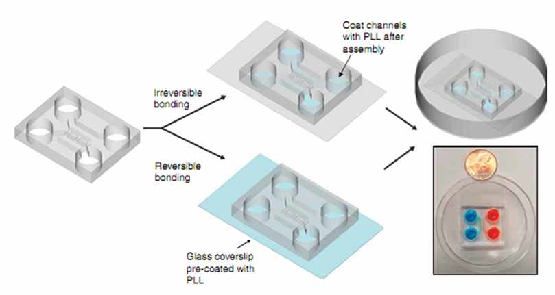 microfluidics chamber 제작