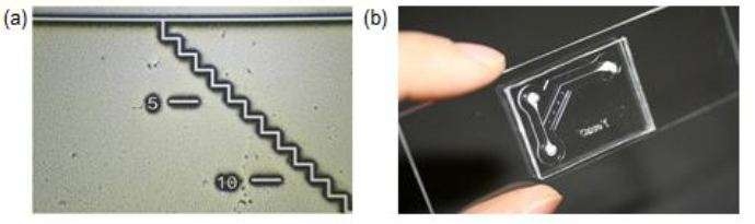 (a)Micromixer 실리콘 몰드 현미경 사진 (b)실제 사용된 Micromixer 사진