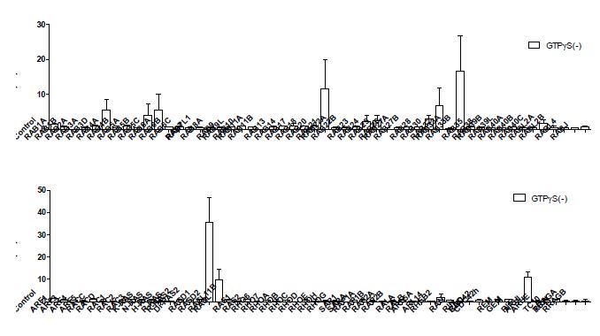 Whole cell patch clamp analysis. Mean±SEM (n=5-10)