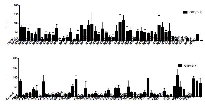 Whole cell patch clamp analysis. Mean±SEM (n=5-10)