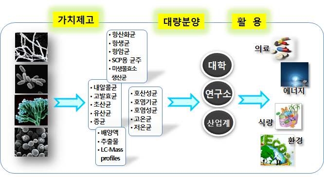 가치제고된 미생물 균주 및 균주생산물의 활용 방안