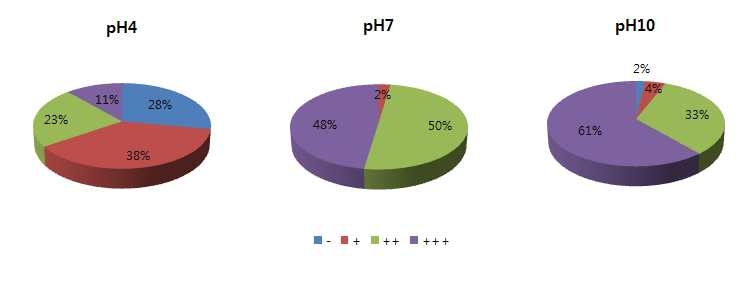 pH에 따른 방선균의 생육정도 비교 결과
