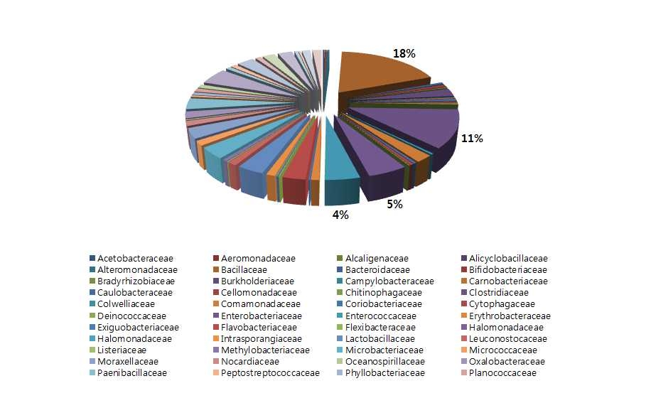 조사 대상 세균의 과(family)에 따른 분류학적 분포