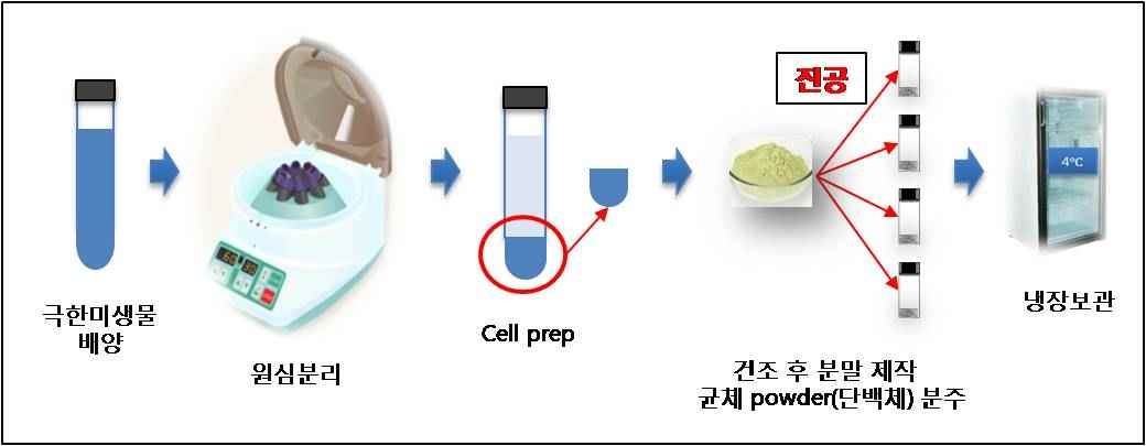 단백체제조 과정및방법