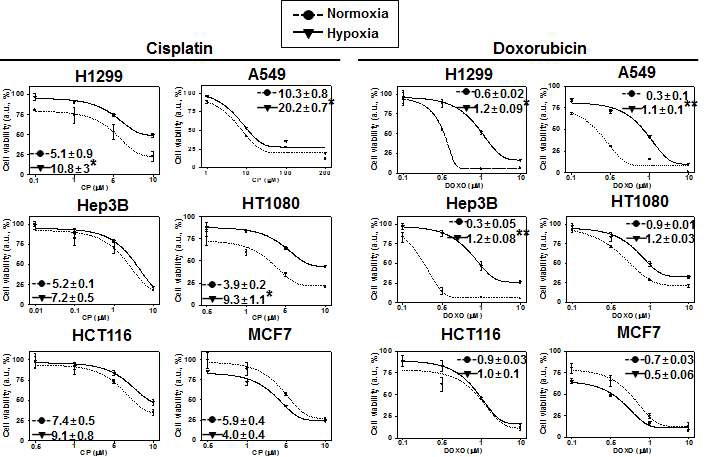 Fig. V-1 Cell viabilities of cisplatin and doxorubicin in various cancer cells under normoxic and hypoxic condition.