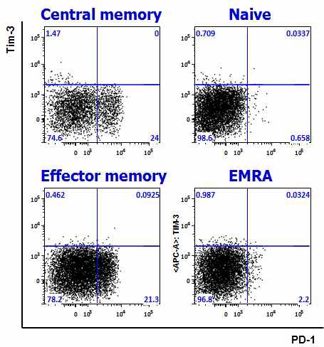 그림 4. CD45RA 및 CCR7 발현 양상을 기준으로 하여 CD8 T세포를 Naive, central memory, effector memory, EMRA로 구분하여 gating한 후, PD-1과 Tim-3의 발현 양상을 분석한 결과. PD-1은 central memory 및 effector memory에서 발현하고, Tim-3는 central memory에서 발현함. 하지만 PD-1과 Tim-3를 동시에 발현하는 세포는 관찰되지 않음