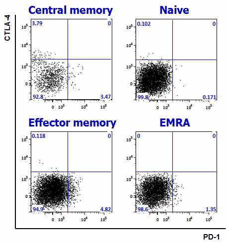 그림 5. CD45RA 및 CCR7 발현 양상을 기준으로 하여 CD8 T세포를 Naive, central memory, effector memory, EMRA로 구분하여 gating한 후, PD-1과 CTLA-4의 발현 양상을 분석한 결과. PD-1은 central memory 및 effector memory에서 발현하고, CTLA-4 는 central memory에서 발현함. 하지만 PD-1과 CTLA-4를 동시에 발현하는 세포는 관찰되지 않음