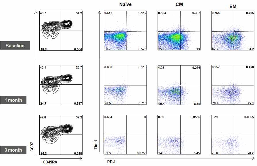 그림 6. 만성 B형간염 환자를 entecavir로 치료하기 전(baseline)과 치료 1개월 째, 3개월째에 T세포의 naive, central memory, effector memory, EMRA group에서 PD-1과 Tim-3의 발현을 조사한 결과. 위는 CD8 아래는 CD4 T세포 결과를 나타냄