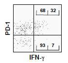 그림 7. MHC class I tetramer로 항원-특이 CD8 T세포를 검출한 후 PD-1과 IFN-γ intracellular cytokine staining을 함께 시행/분석한 결과. PD-1dim T세포가 PD-1- T세포보다 IFN-γ 분비를 더 많이함