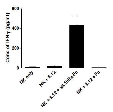 그림 9. 사람 NK세포를 분리한 후, IL-12로 자극을 주어 IFN-γ 생성을 유도하면서, soluble IL10Rα-Fc를 같이 처리하면 IFN-γ의 생성이 유의하게 증가함.