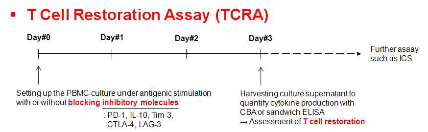 그림 10. ‘T세포 억제-차단 시험법’의 대략적인 개요 및 스케쥴