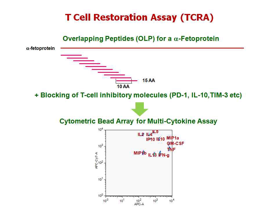 그림 11. ‘T세포 억제-차단 시험법’의 대략적인 개요