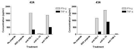 그림 12. 만성 C형간염 환자 2명의 PBMC를 HCV NS3 peptide mix로 자극 주면서 nti-PD1, anti-IL10, anti-Tim3 등의 항체로 T세포 억제분자를 차단하고 3일 후 세포배양액을 수집하여 IFN-γ와 TNF-α의 농도를 측정한 결과, 42A 및 43A 두 환자 모두에서 anti-PD1은 사이토카인을 분비하는 T세포 기능을 회복시킴. 반면 anti-IL10은 43A 환자에서만, 그리고 anti-Tim3는 42A 환자에서만 T세포 기능을 회복시킴. 이는 환자별로 주로 작동하는 T세포 억제분자가 서로 다를 것임을 시사하는 결과임