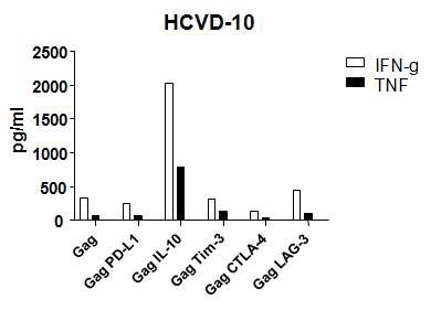 그림 16. HIV감염자에서의 dysfunctional 한 T세포 조절인자의 차단에 따른 T세포 기능회복의 일례