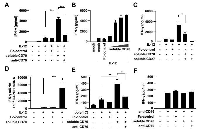 그림 19. Soluble CD70이 NK세포의 IFN-g 분비에 미치는 영향