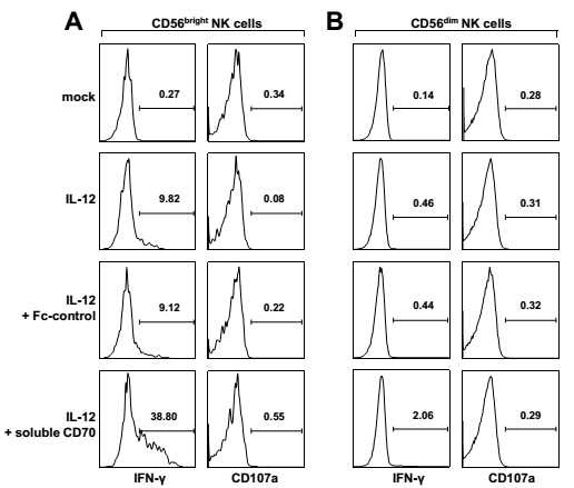 그림 20. Soluble CD70이 NK세포의 IFN-g 분비에 미치는 영향을 평가한 intracellular cytokine staining