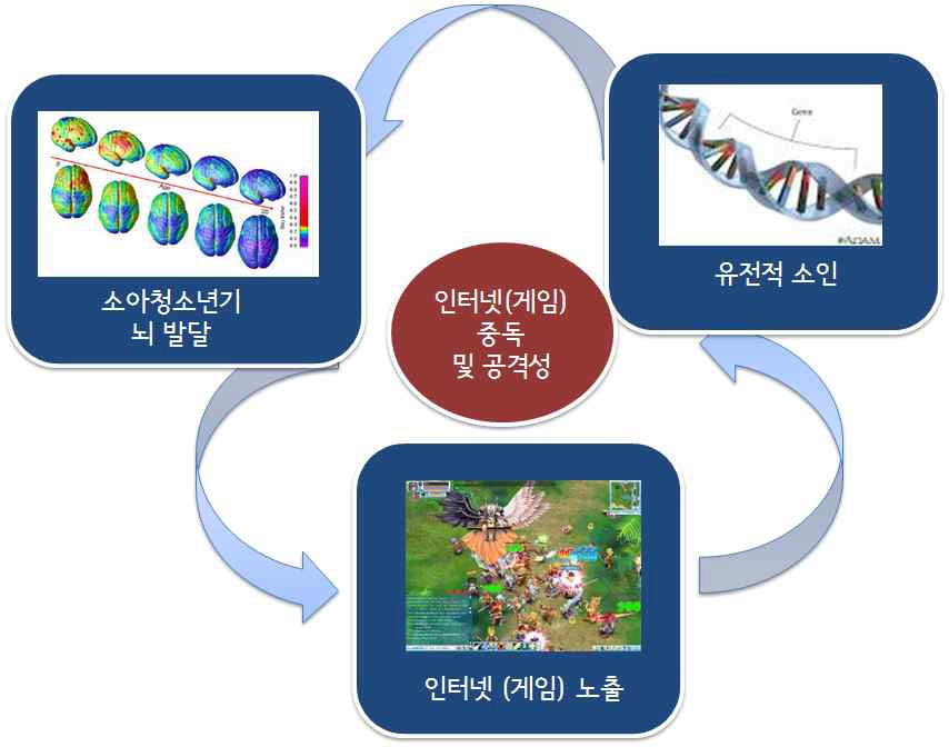 소아청소년 인터넷(게임) 중독의 신경생물학적 모델에서 고려해야 할 관련 요소들