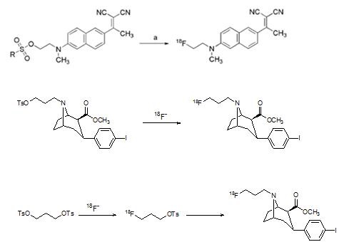 그림 22. [18F]FDDNP(상)와 [18F]FP-CIT(하)의 합성법