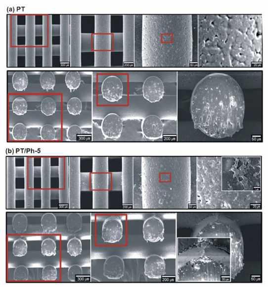 SEM images of (a) a PT composite and (b) PT/Ph-5 composite coated with phlorotannin solution