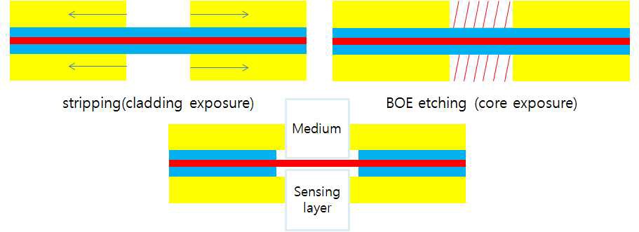그림 19. 파이버 에칭 실험 개략도