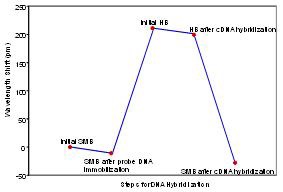 그림 39. Biochemical process for DNA hybridization of FBG sensor.