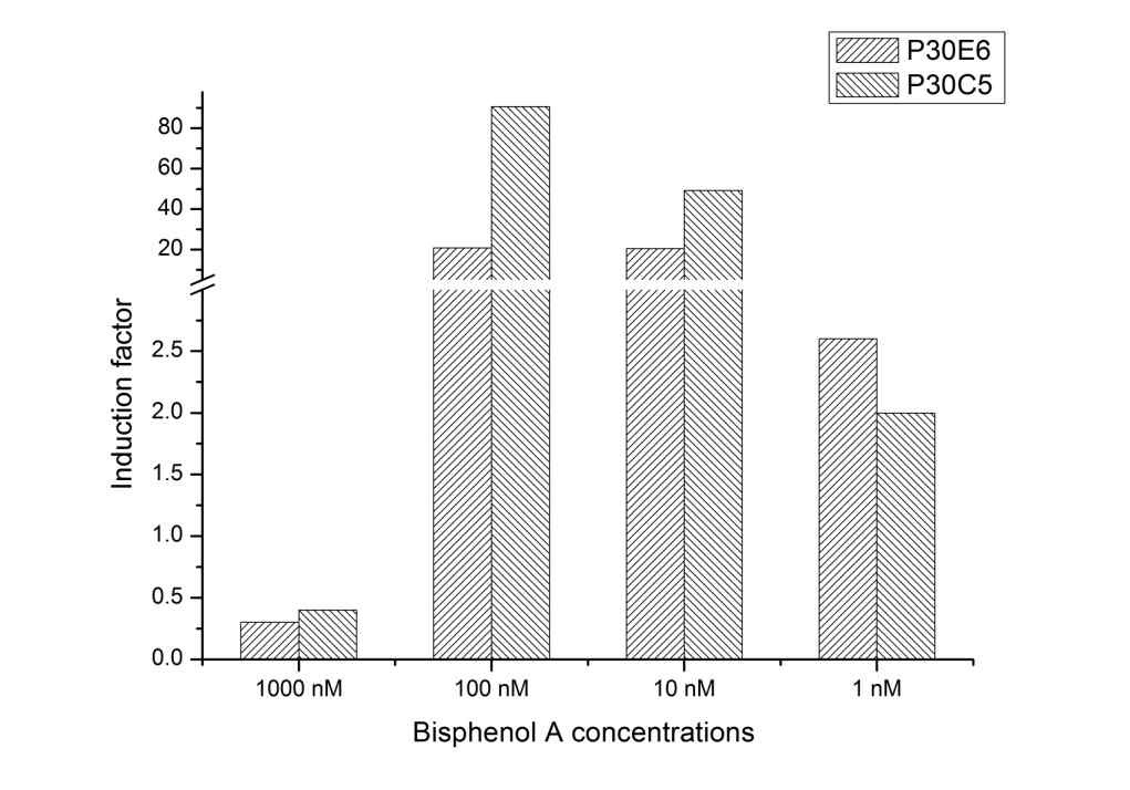 그림 41. Represents the response of the bioluminescent yeast strains in liquid medium to the different concentrations of Bisphenol A. The bioluminescence signal of bacterial response to the Bisphenol A was expressed as the induction factor, which was the ration between maximum of a bioluminescence signal of tested toxicant and maximum signal of control
