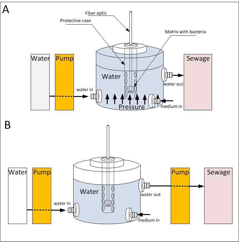 그림 45. Schematic presentation flow through biosensor for real time water toxicity monitoring. A. Setup with one pump that will transfer water from sample tank to the sewage, through measuring unit. B. Setup with two pumps. The first will input water to the measuring unit and the second will take it out.