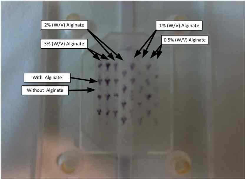 그림 52. Effect of the alginate concentration on chemical diffusion.