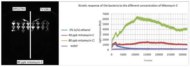 그림 56. Response of bacteria to the different chemicals