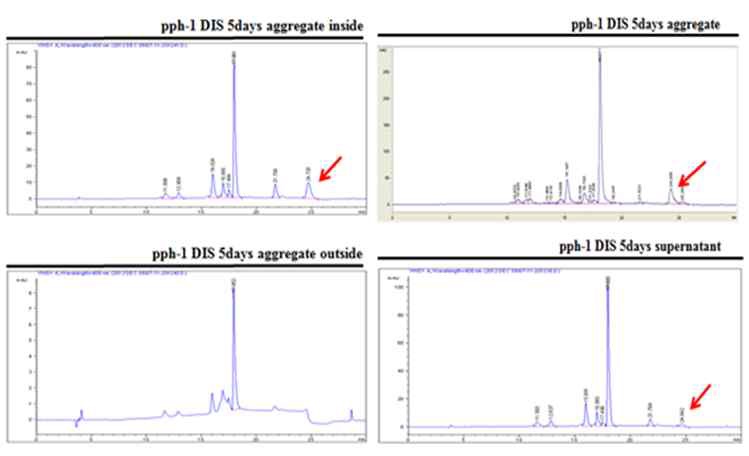 그림 8. pph-1 DIS 5days aggregate의 washing 전 후의 HPLC 분석결과.