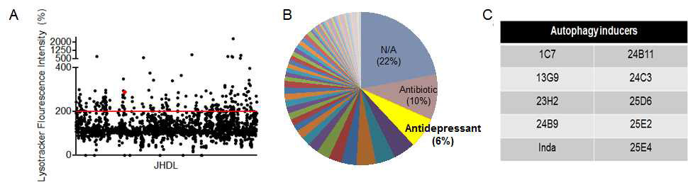 그림 16. (A) HCS를 통해 오토파지 유도화합물 발굴. (B) 오토파지 활성을 보이는 화합물들 중 크게 antibiotic과 antidepressant로 분류됨. (C) 오토파지 유도화합물 중 총 10종이 LC3 conversion을 유도함을 확인함