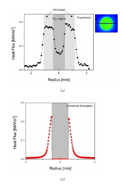 단일기포 성장 과정(t*=0.4)동안의 열유속 분포에 대한 (a)실험과 (b)수치해석 결과