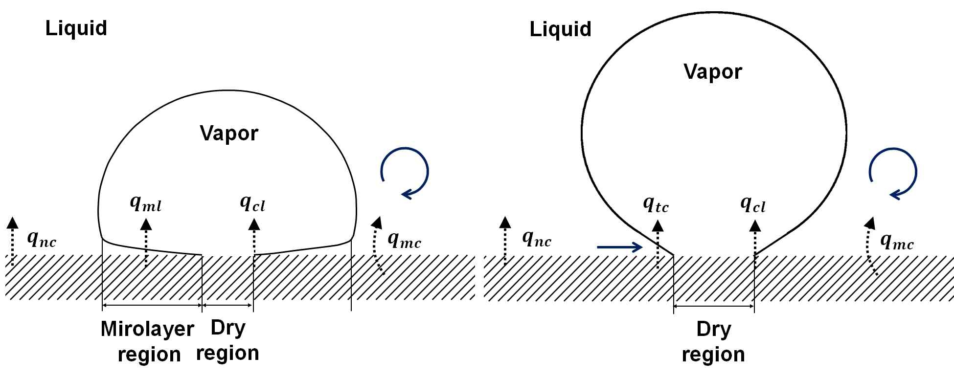 (a)기포 성장 과정과 (b)기포 이탈 과정 동안 비등표면에서의 열전달 메커니즘