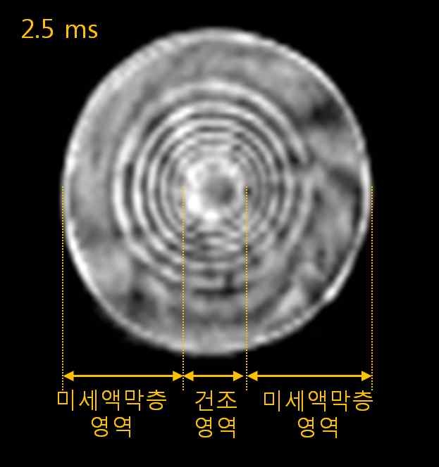 기울기를 가지는 미세액체층에서 측정되는 레이저의 간섭무늬