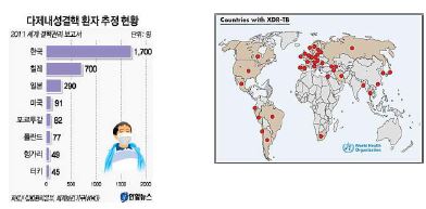 그림 1) 여러 종류의 치료제에 내성을 지닌 다약제내성결핵(MDR-TB)이 전 세계적 위협으로 떠오른 가운데 우리나라의 M/XDR-TB 환자 수가 경제협력개발기구(OECD) 국가 중 가장 많다 는 추정치가 처음 나왔다