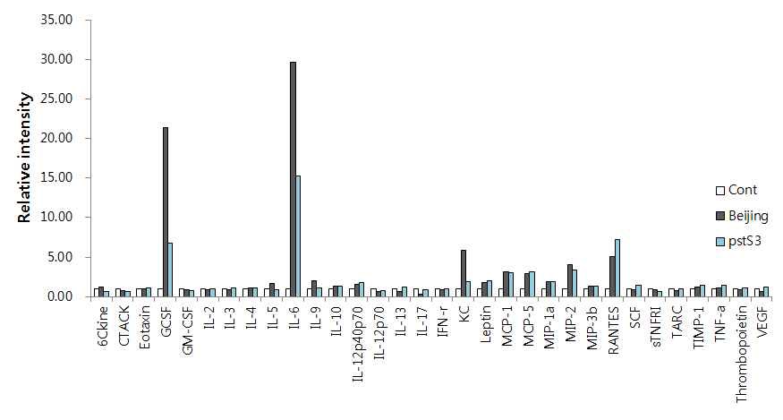 그림 12) psts3 돌연변이체를 대식세포에 감염시켰을 때 나타나는 사이토카인 프로파일