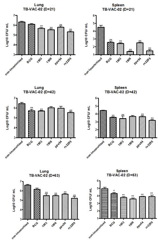 그림 19) Rv1503c, Rv1506c, ppe54 그리고 Rv2295 Tn 돌연변이체들의 BCG 백신과 비교한 백신 효과 검사