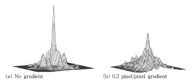 변위 구배가 correlation peak에 미치는 영향