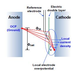 전산모델에 사용된 개념적인 전극간의 전위차 및 국소 전류밀도