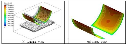 Perspective view of local overpotential distribution on the cathode surface