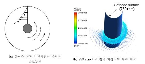 음극 회전에 따른 주변 전해질의 속도장