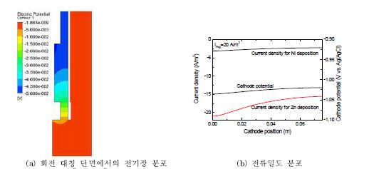 Ni2+ 및 Zn2+ 이성분계의 전극 위치에 따른 3차계 전기장 및 전류밀도 분포