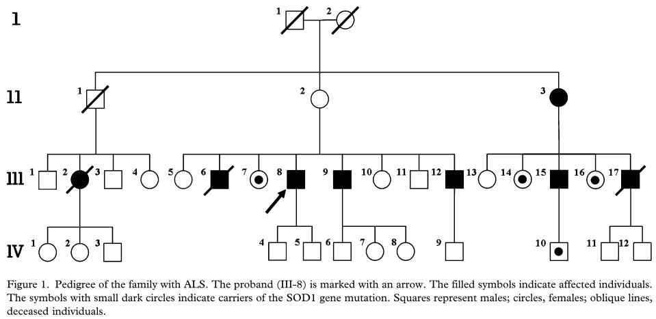 Figure 1. Pedigree of the family with ALS
