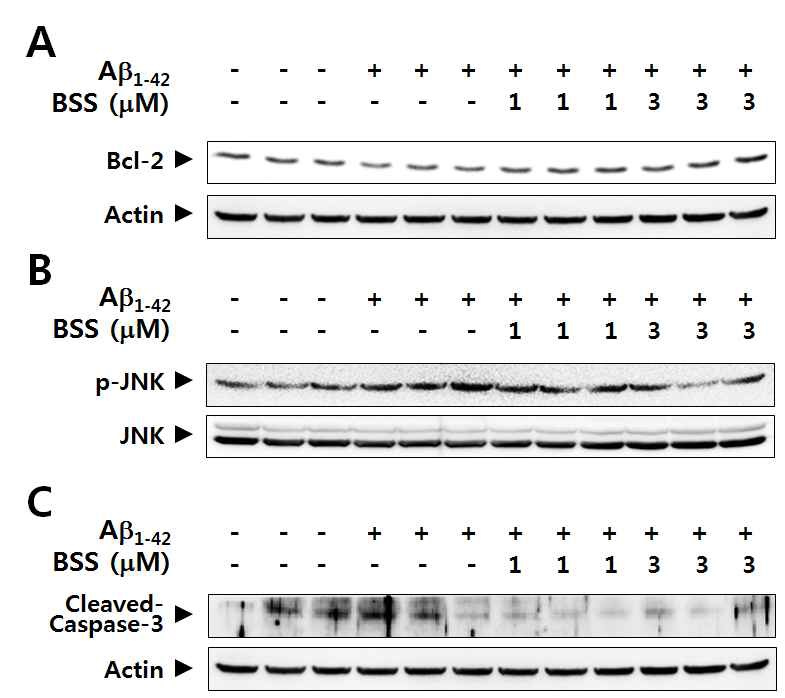 Fig. 26 Effect of β-sitosterol against β?amyloid-induced molecular markers for apoptosis
