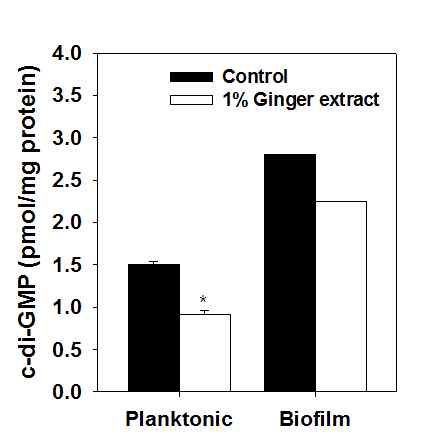 그림 2. 생강추출물에 의한 c-di-GMP 분석
