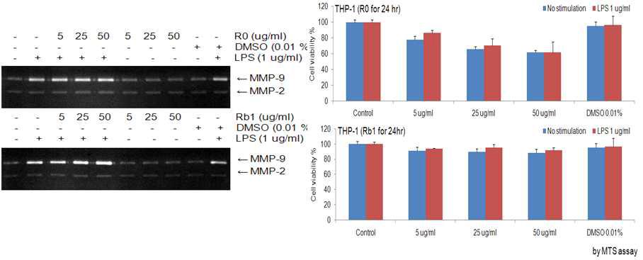 a) THP-1세포에서의 RO, Rb1에 LPS로 유도되는 MMM-9의 발현 저해효과(Gelatinzymogram). b) RO, Rb1의 세포 독성실험 (MTS assay).