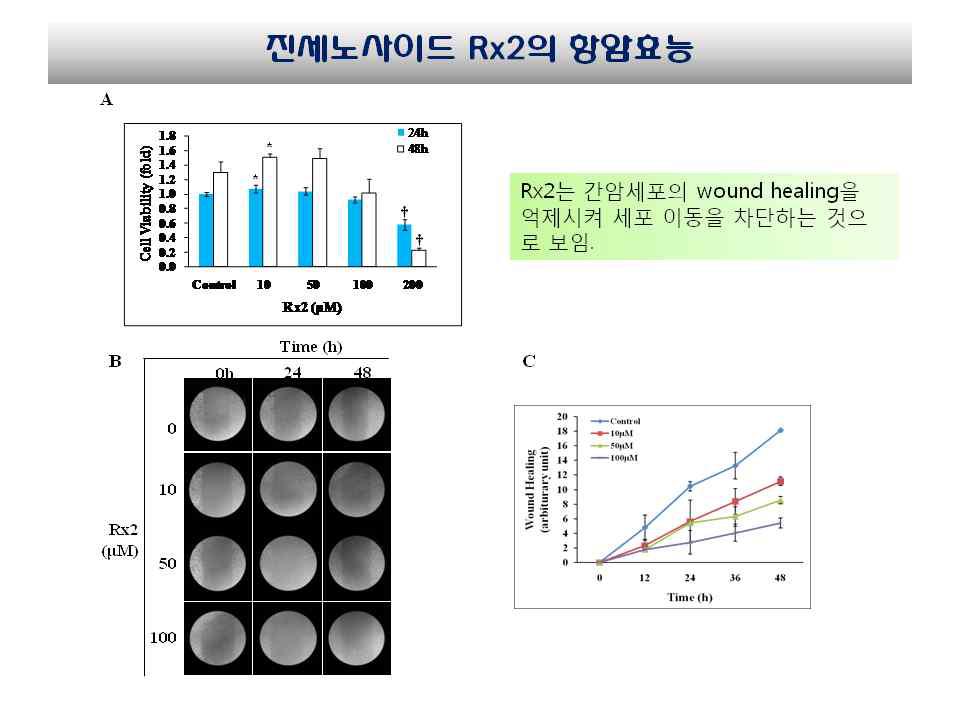 진세노사이드 Rx2의 세포 독성 (A) 및 wound healing 분석(B)